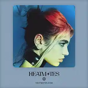 Picture for song 'Houdini (Dua Lipa x Lady Gaga)' by artist 'HEATMATES'