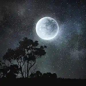 Song picture