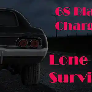 Picture for song '03 - Dayly Work' by artist 'Lone Survivor'