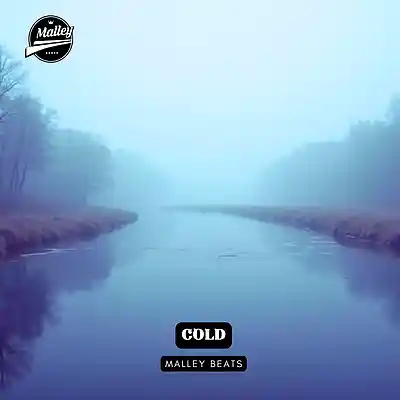 Picture for song 'COLD [COUNTRY RAP TYPE BEAT]' by artist 'Malley Beats'