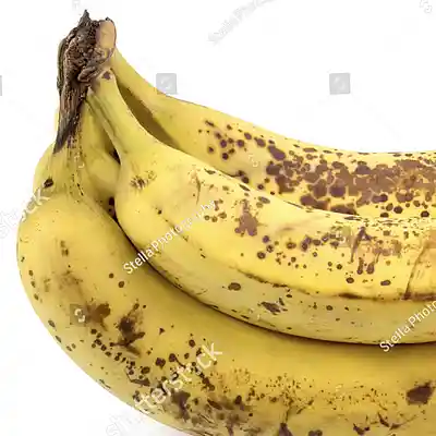 Picture for song 'Brown Banana' by artist 'seanclopedia'