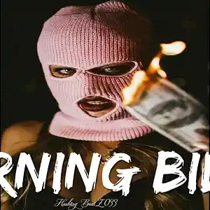 Picture for song 'Burning Bills' by artist 'Hashtag6eatZ033'