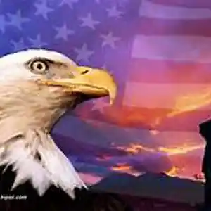Picture for song 'America We Are Better Than This' by artist 'Kathy Wedvik'