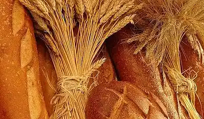 Picture for song 'Eternal Bread of Life' by artist 'livingintension'