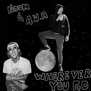 Picture for song 'Wherever You Go' by artist 'Noom'