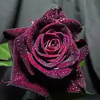 Picture for song 'Arrived' by artist 'Plaza7'