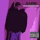 Picture for song 'Saine - Das hier Flasht' by artist 'Saine - SkyLab Muzik'
