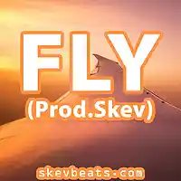 Picture for song 'Hip Hop Beat - FLY (Prod Skev)' by artist 'Skev Beats'
