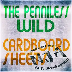 Picture for song 'TF The Penniless Wild Cardboard Sheets mixed by NJ' by artist 'Songs Mixed By NJ Anderson'