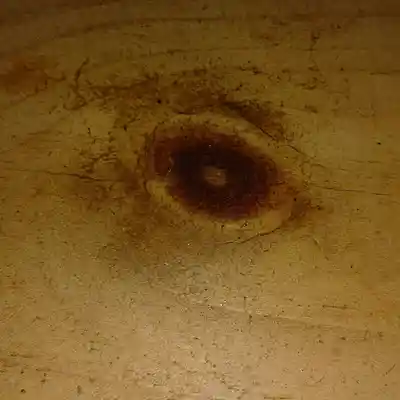 Picture for song 'Love Roots ' by artist 'The Last People'