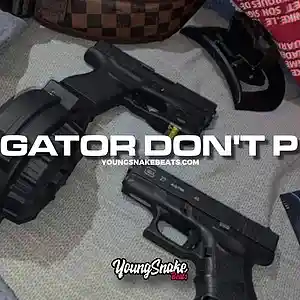 Picture for song '"GATOR DON'T PLAY" - Big 30 x Big Scarr Type Beat' by artist 'Young Snake Beats'