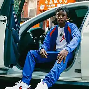 Picture for song 'lil tjay x juice wrld // type beat' by artist '1337lex'