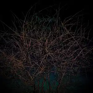 Picture for song 'The Rose' by artist 'O5MO515'