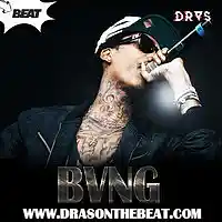 Picture for song 'Wiz Khalifa Type Beat 2016 x BVNG ' by artist 'Dras On The Beat'