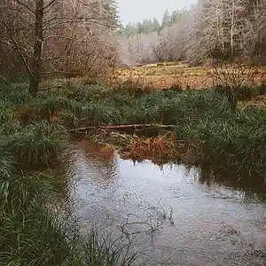 Picture for song '(FREE) CashmoneyAP Type Beat Pond prod Hollow' by artist 'Hollow Prod'