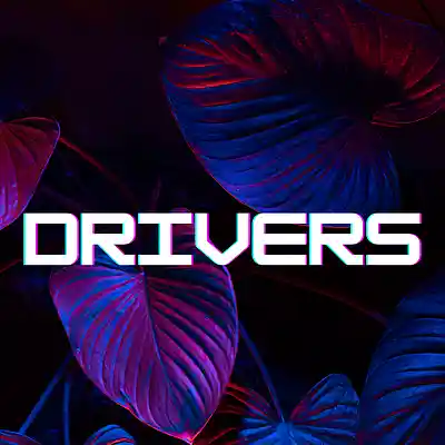 Picture for song 'Drivers - Slap House x Deep House Type Beat' by artist 'Javebeats'