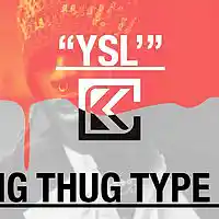 Picture for song 'YSL (Buy 1 Get 3 Free)' by artist 'ProdByChazz'