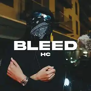 Picture for song 'BLEED' by artist 'prodnotguilty'