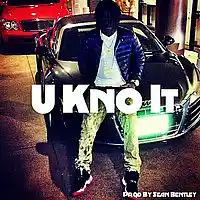 Picture for song '*New* U Kno It x Futuristic *HIT* (Free DL)' by artist 'Sean Bentley'