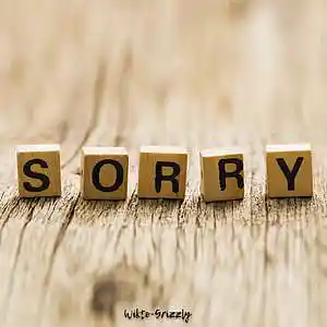 Picture for song 'WIKTO-GRIZZLY - sorry' by artist 'WIKTO-GRIZZLY'