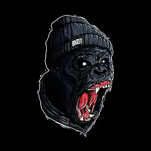 Picture for song 'Uter' by artist 'Crasti'