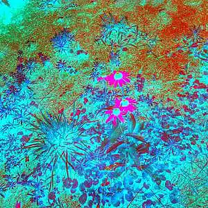 Picture for song 'sherry' by artist 'Err0r'