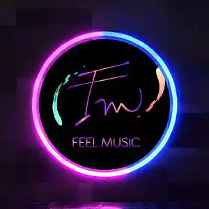Picture for song 'Baila Summer Type' by artist 'Feel Music Beats'