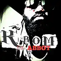 Picture for song 'IN THE SKY' by artist 'KROM THE ABBOT'