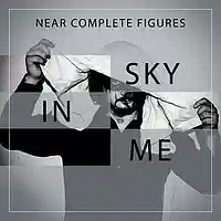 Picture for song '02 - Sky In Me' by artist 'Near Complete Figures'
