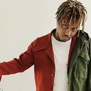 Picture for song 'JUICE WRLD WARPED TYPE BEAT' by artist 'OffcialProtegebeatz'