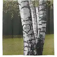 Song picture