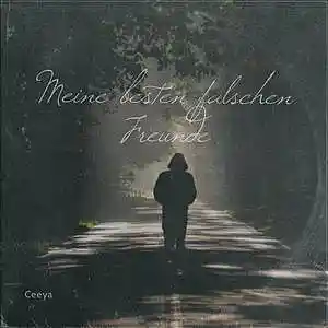 Picture for song 'Ceeya - Meine besten falschen Freunde (Prod. by An' by artist 'CeeyaMusik'