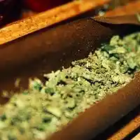 Picture for song '*NEW* EmptyGars (FREEDL)' by artist 'i2hunDaDon'