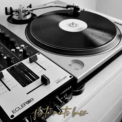 Picture for song ''flute meets bass'' by artist 'Larry Soundz'