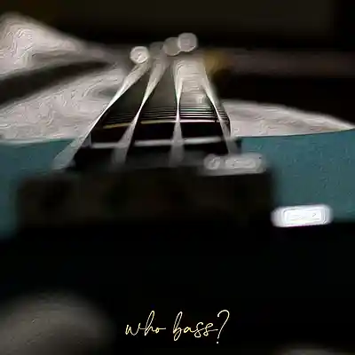 Picture for song ''who bass'' by artist 'Larry Soundz'