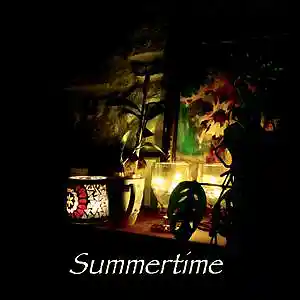 Picture for song 'Summertime' by artist 'Lori Delozier'