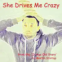 Picture for song 'AOS 10 She Drives Me Crazy' by artist 'martin stirrup'