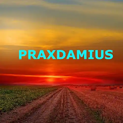 Picture for song 'SLAG' by artist 'Praxdamius'