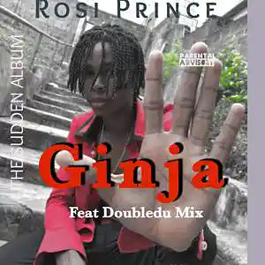 Picture for song 'Ginja' by artist 'Privay Cee'