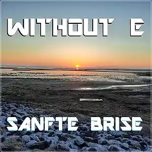 Picture for song 'SANFTE BRISE' by artist 'WITHOUT E'