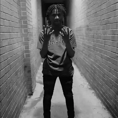 Picture for song '"WALK THE WALK" - Lil Noonie x Nardo Drillz Type B' by artist '2k5 jaay'