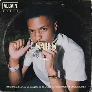 Picture for song 'Sails' by artist 'Algain-Music'