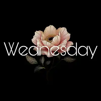 Picture for song 'Wednesday' by artist 'A's Instrumental Vault'