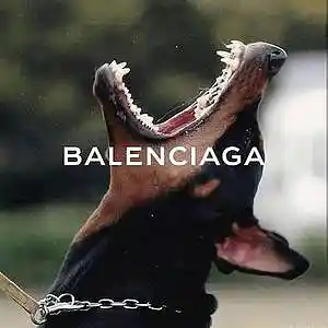 Picture for song 'Balenciaga (X Pvlace 808 Mafia)' by artist 'BenzMuzik'