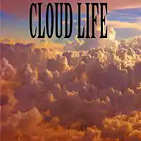 Picture for song 'Cloud Life' by artist 'DaReal Jizzle Beats'