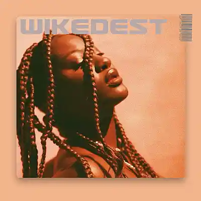 Picture for song 'WICKEDEST - Dave, Tems' by artist 'Dredbeat'