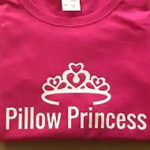 Picture for song 'Pillow Princess' by artist 'Johanna Renfro'