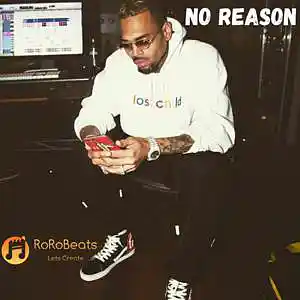 Picture for song 'No Reason' by artist 'RoRo Beats'