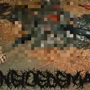 Picture for song 'Lasat sa mori intr-un sant decapitat' by artist 'Alin Hate Club'