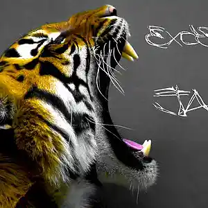 Picture for song 'Excella-Jaw (Original Mix)' by artist 'Excella'